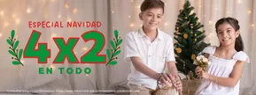 Catálogo Advanced en Santiago del Estero | Especial Navidad | 2024-12-11 - 2024-12-24