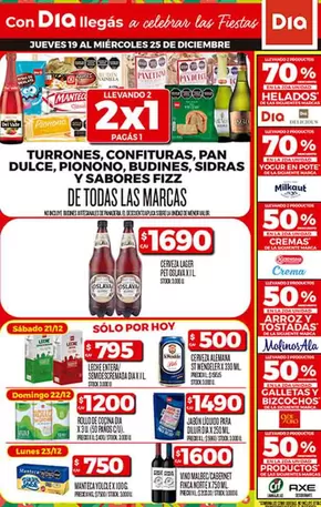 Catálogo Supermercados DIA | Nuestras mejores ofertas para ti | 2024-12-19T00:00:00-03:00 - 2025-01-02T23:59:00-03:00