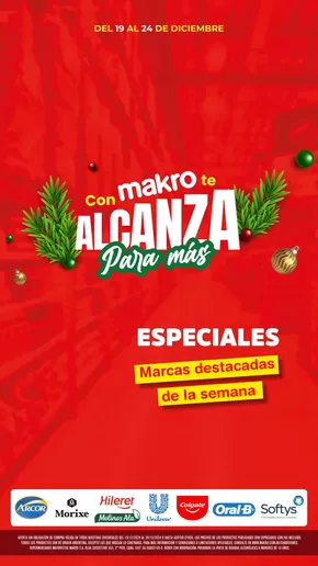 Catálogo Makro en Villa Lynch | Ofertas Especiales | 2024-12-20T00:00:00-03:00 - 2024-12-24T23:59:00-03:00