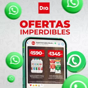 Catálogo Supermercados DIA en Buenos Aires | Descuentos y promociones | 2024-12-23T00:00:00-03:00 - 2025-01-06T23:59:00-03:00