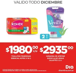 Catálogo Supermercados DIA | Gangas y ofertas actuales | 2024-12-25T00:00:00-03:00 - 2025-01-08T23:59:00-03:00