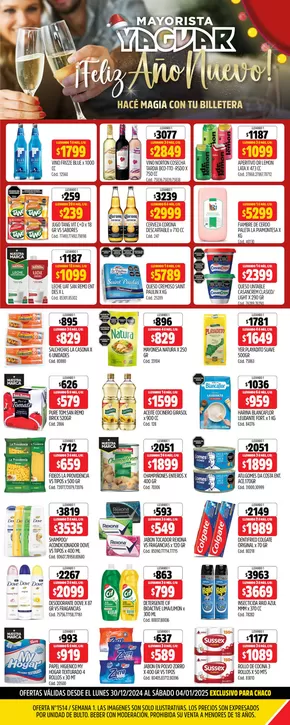 Catálogo Supermercados Yaguar | Ofertas especiales para ti | 2024-12-30T00:00:00-03:00 - 2025-01-04T23:59:00-03:00