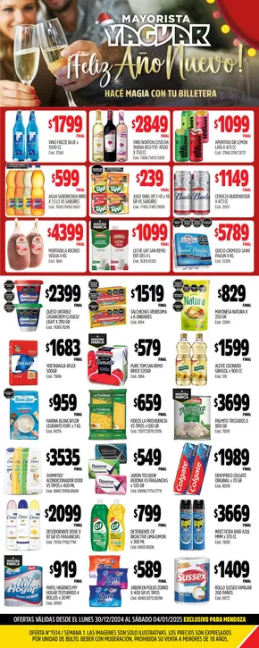 Catálogo Supermercados Yaguar | Descubre ofertas atractivas | 2024-12-30T00:00:00-03:00 - 2025-01-04T23:59:00-03:00