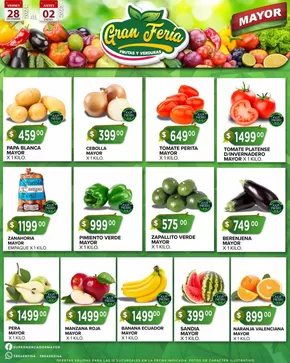 Catálogo Supermercados Mayor | Ahorra ahora con nuestras ofertas | 2024-12-30T00:00:00-03:00 - 2025-01-13T23:59:00-03:00