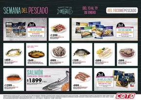 Catálogo Coto en Recoleta | Coto Afiche- Semana-del- Pescado- | 2025-01-13T00:02:16-03:00 - 2025-01-21T23:59:16-03:00