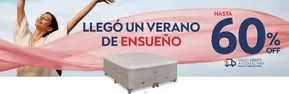 Catálogo Springwall en Paraná | Hasta 60% off | 2025-01-22T00:00:00.000Z - 2025-02-09T00:00:00.000Z