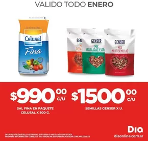 Catálogo Supermercados DIA | Ofertas principales para ahorradores | 2025-01-28T00:00:00.000Z - 2025-02-11T00:00:00.000Z